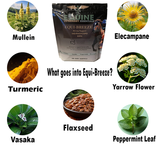 Equi-Breeze | Veterinarian Formulated Equine Respiratory Supplement image 2