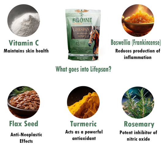 Lifespan – Veterinarian-Formulated Equine Anti-Inflammatory Supplement image 2