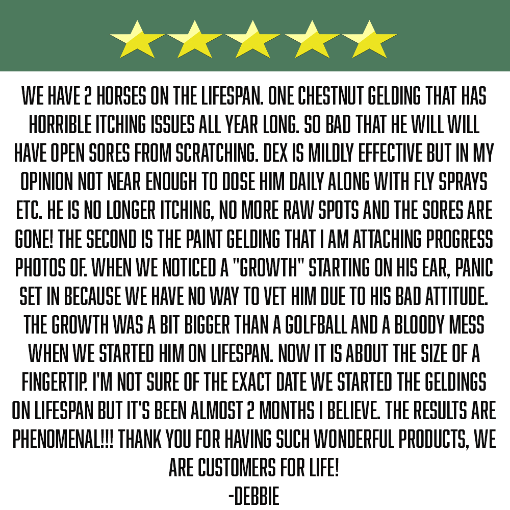 Lifespan – Veterinarian-Formulated Equine Anti-Inflammatory Supplement image 3