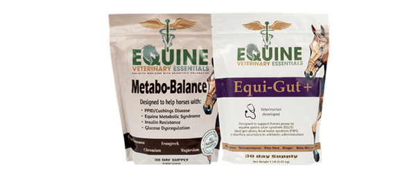 Digestive & Metabolic Support