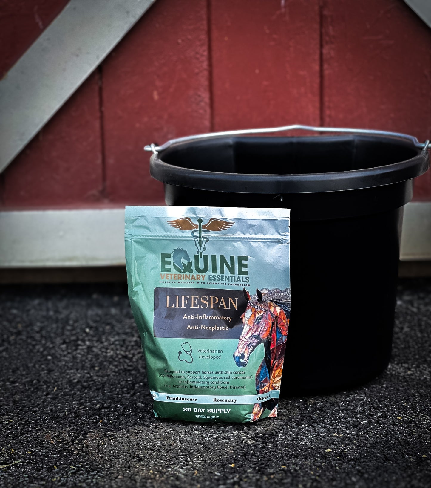 Lifespan – Veterinarian-Formulated Equine Anti-Inflammatory Supplement