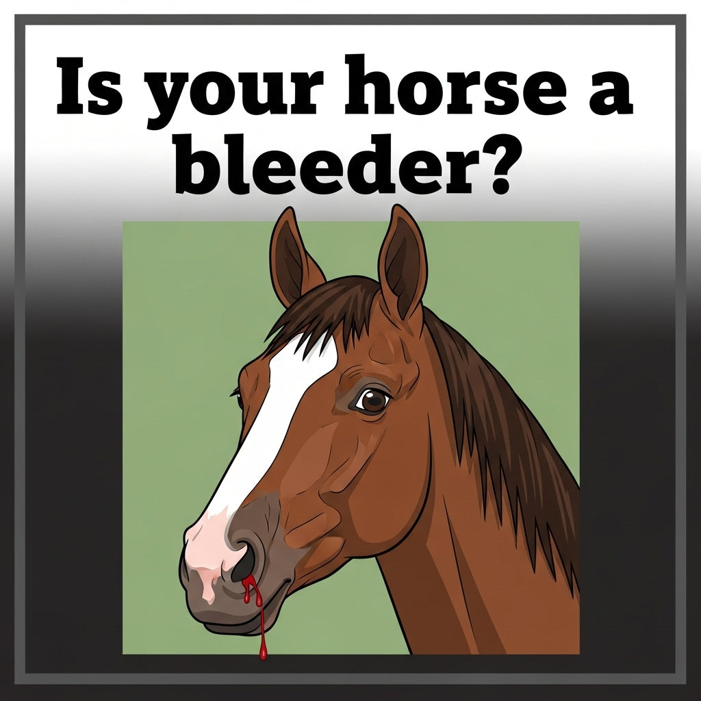 Is your horse a bleeder? 