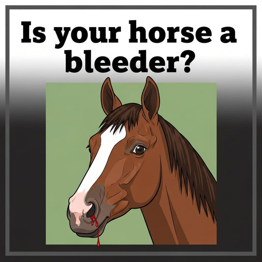 Is your horse a bleeder? 
