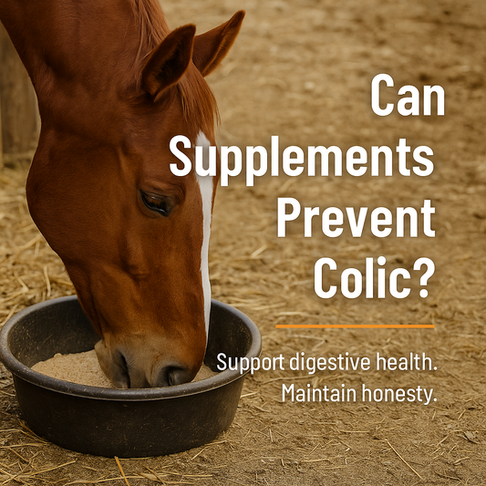 Horse in a field illustrating equine colic and digestive health