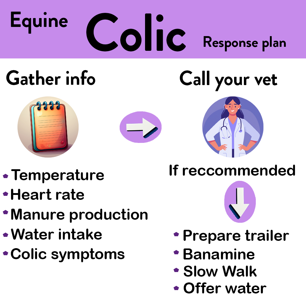 Horse showing signs of colic