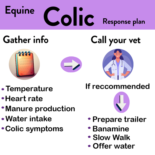 Horse showing signs of colic