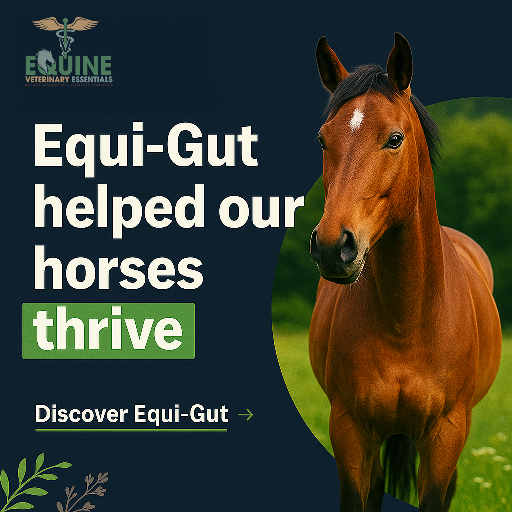 Horse joint health and postbiotics