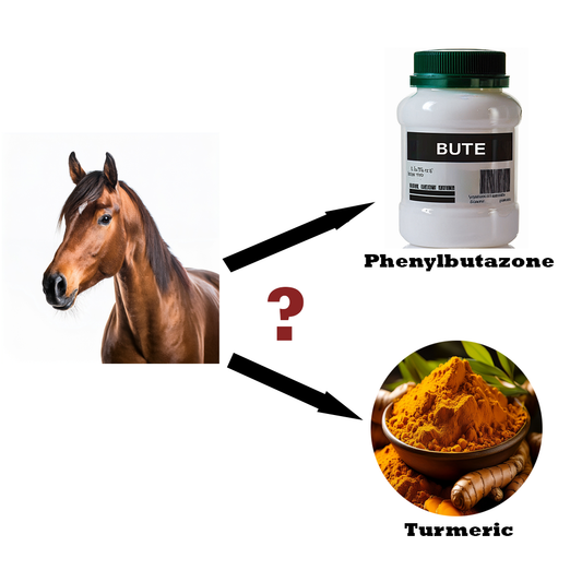 Rethinking NSAIDs for horses: herbal anti-inflammatory alternatives