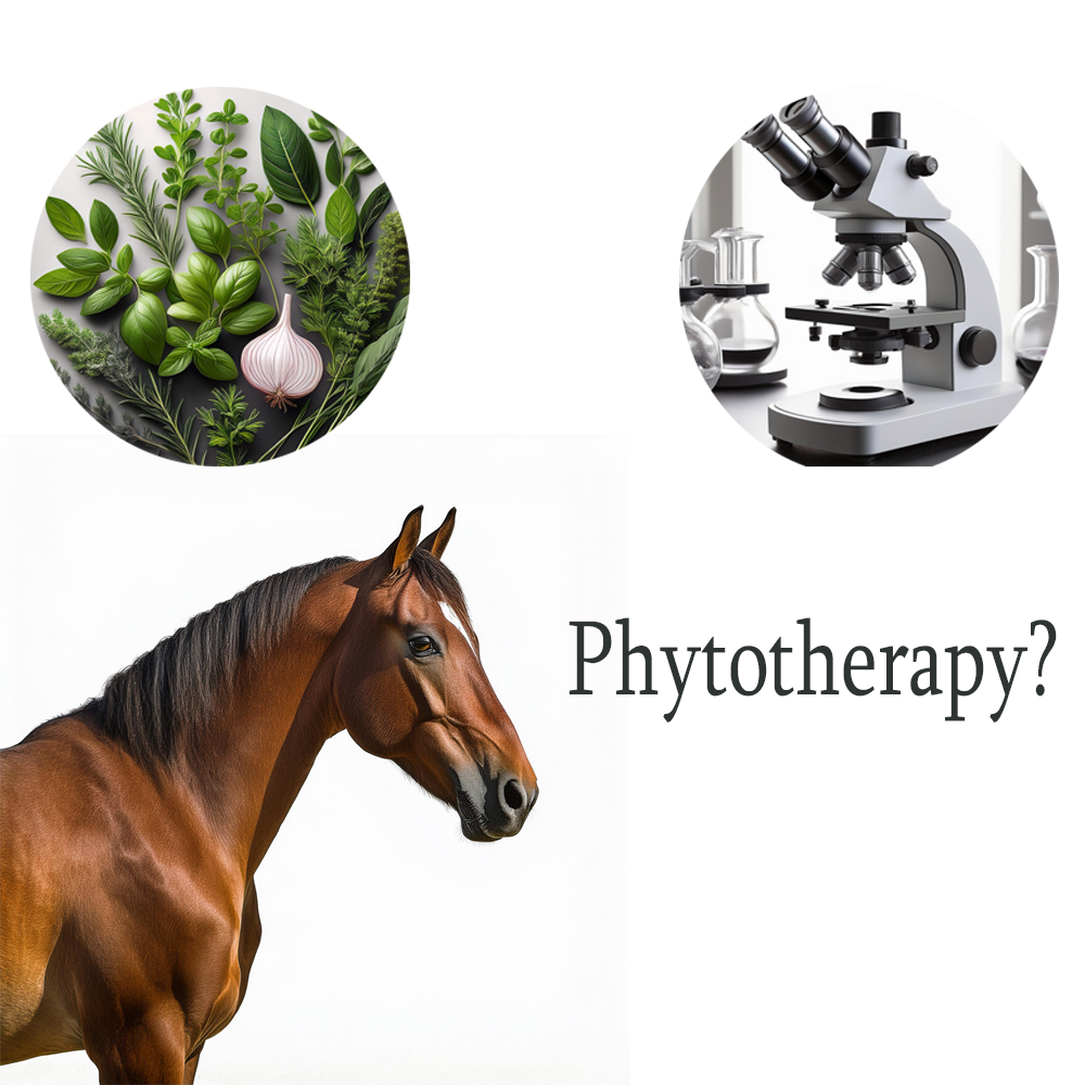 Phytotherapy and healing herbs