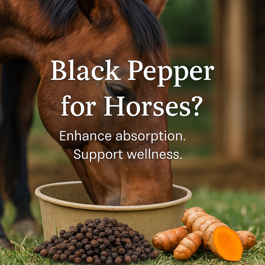 Horse eating black pepper