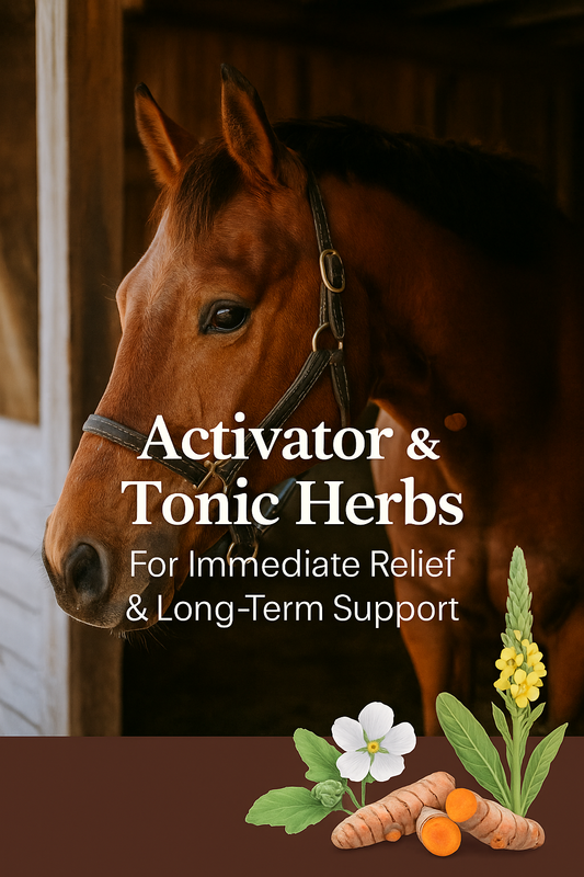 Equi-Breeze equine respiratory supplement
