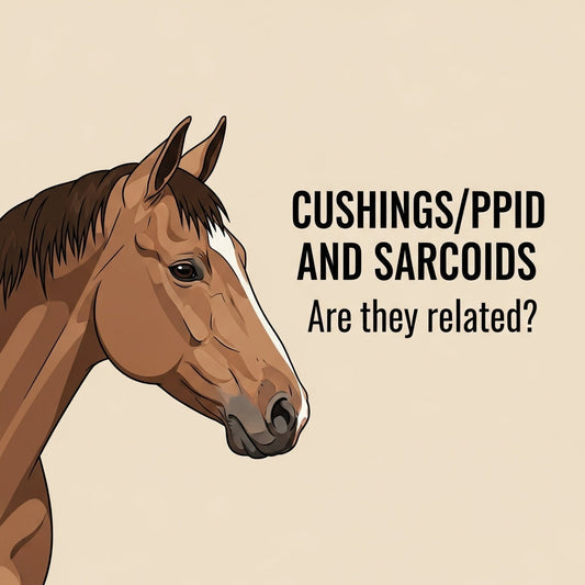 Sarcoids and Cushing's in Horses: A Veterinarian's Guide to Understanding and Herbal Support