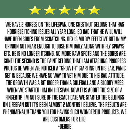 Lifespan – Veterinarian-Formulated Equine Anti-Inflammatory Supplement image 3
