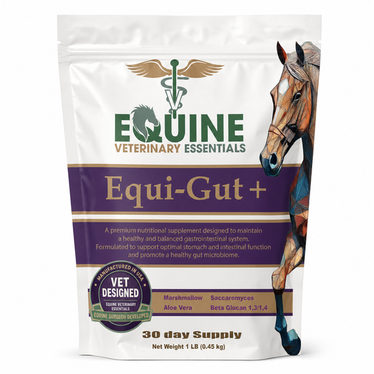 Equi-Gut+ – Veterinarian Formulated Equine Digestive Supplement