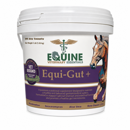 Equi-Gut+ – Veterinarian Formulated Equine Digestive Supplement