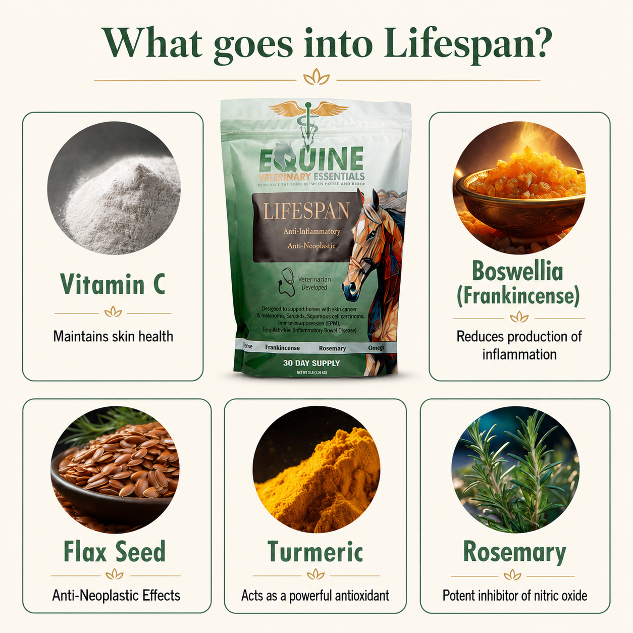 What's inside Lifespan: ingredient overview for equine joint and skin support
