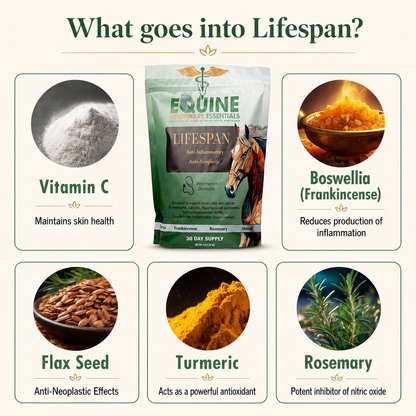 What's inside Lifespan: ingredient overview for equine joint and skin support