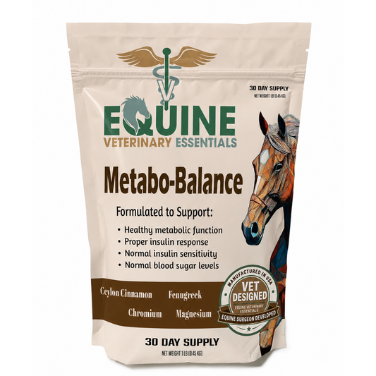 Metabo-Balance: Advanced Endocrine & Metabolic Resilience