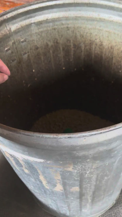 Equi-Drop™: Liquid Flavoring for Horse Feed & Water