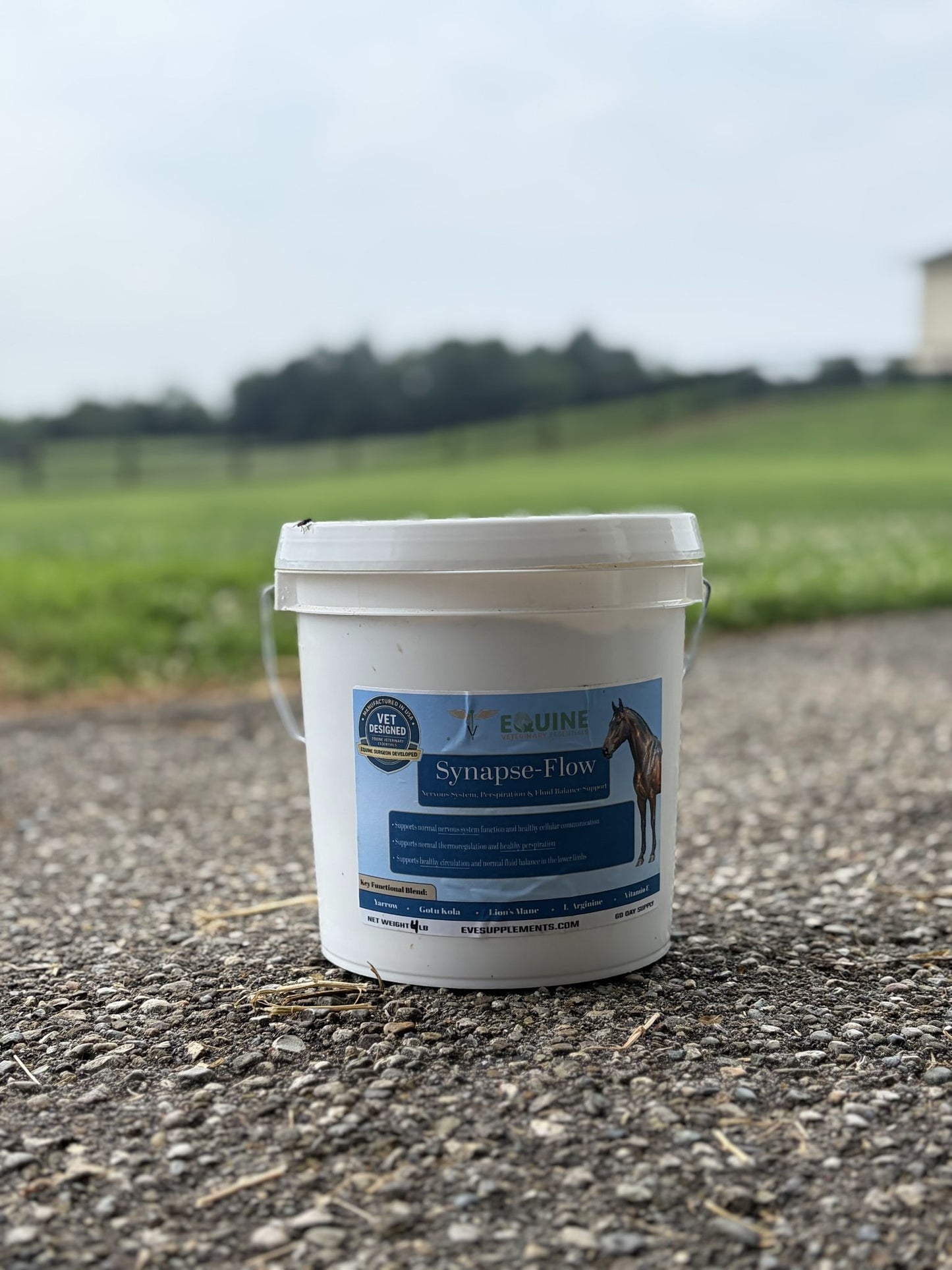 Synapse-Flow™: Neurologic, Lymphatic, and Perspiration Support